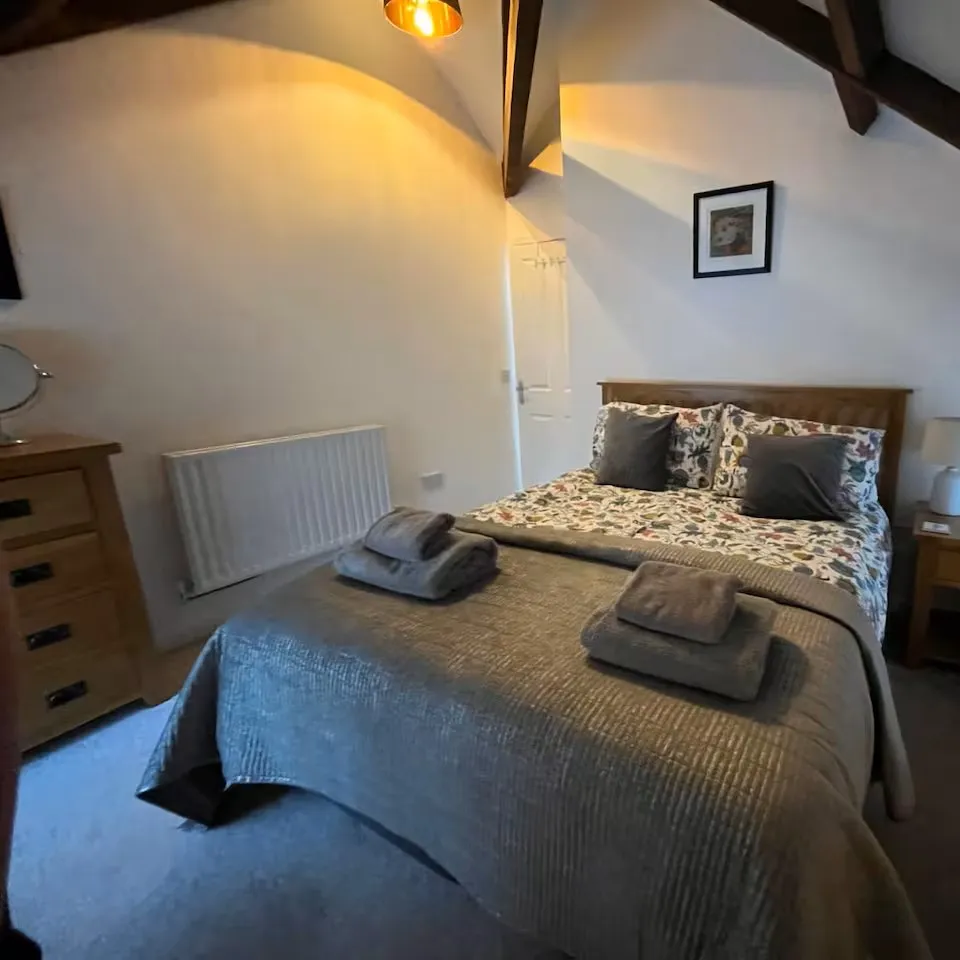 118e582d-8101-42b1-b324-76ef4f42b880